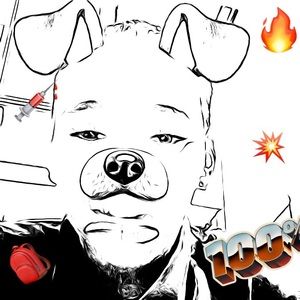 Meet your Posher, Chaz